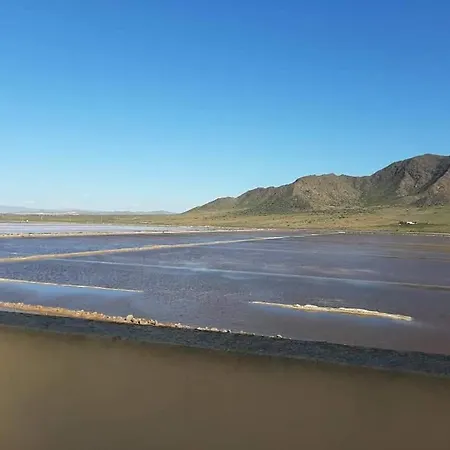 Salinas